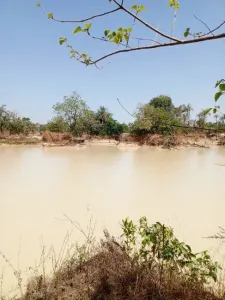 Terreno edificabile In vendita 0000 Brikama Gambia  DE