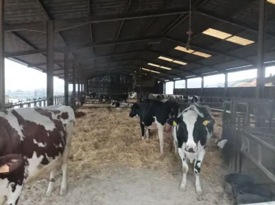 Fattoria In vendita 54000 GRAFIGNY FR