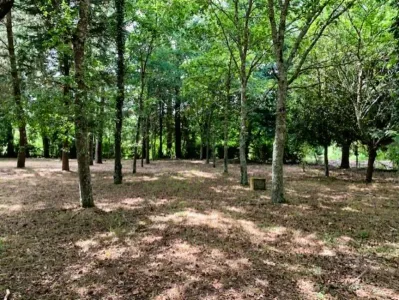 Terreno edificabile In vendita 3300 Arganil PT